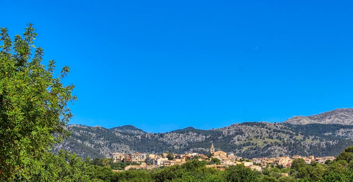 spektakuläres-baugrundstück-mit-zwei-brunnen-mit-der-möglichkeit-ein-haus-schwimmbad-und-weinberg-im-herzen-der-serra-de-tramuntana-mit-steineichen-kiefern-eigenbäumen-ullastres-in-der-gemeinde-selva-in-der-nähe-von-campanet-moscari-binibona