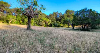 von_poll_real_estate_property_ES212978_image_7