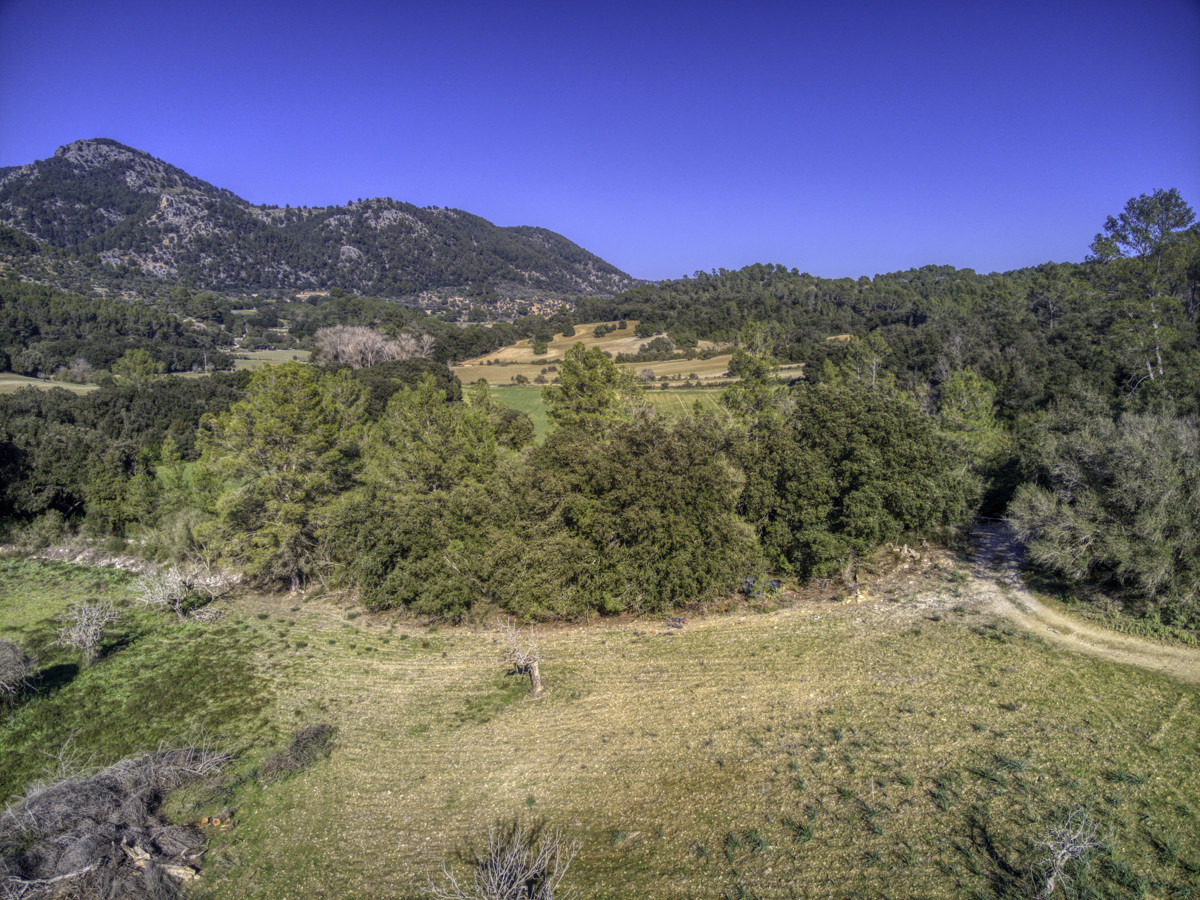 spektakuläres-baugrundstück-mit-zwei-brunnen-mit-der-möglichkeit-ein-haus-schwimmbad-und-weinberg-im-herzen-der-serra-de-tramuntana-mit-steineichen-kiefern-eigenbäumen-ullastres-in-der-gemeinde-selva-in-der-nähe-von-campanet-moscari-binibona