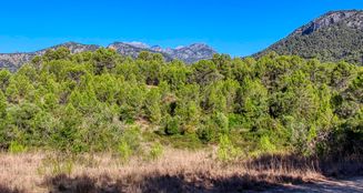 von_poll_real_estate_property_ES212978_image_9