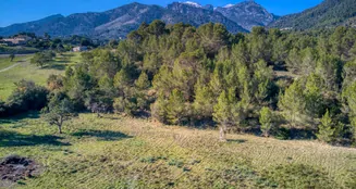 von_poll_real_estate_property_ES212978_image_1