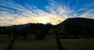 von_poll_real_estate_property_ES212978_image_14