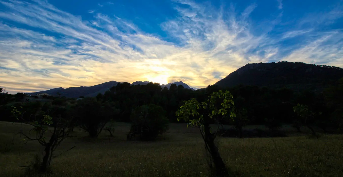 spektakuläres-baugrundstück-mit-zwei-brunnen-mit-der-möglichkeit-ein-haus-schwimmbad-und-weinberg-im-herzen-der-serra-de-tramuntana-mit-steineichen-kiefern-eigenbäumen-ullastres-in-der-gemeinde-selva-in-der-nähe-von-campanet-moscari-binibona