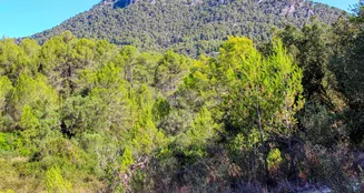 von_poll_real_estate_property_ES212978_image_11