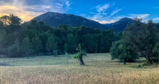 von_poll_real_estate_property_ES212978_image_34