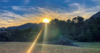 von_poll_real_estate_property_ES212978_image_31