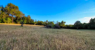 von_poll_real_estate_property_ES212978_image_23