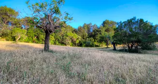 von_poll_real_estate_property_ES212978_image_25