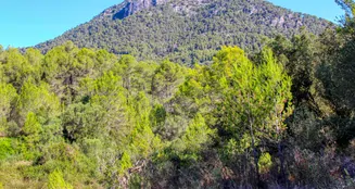 von_poll_real_estate_property_ES212978_image_29