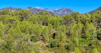 von_poll_real_estate_property_ES212978_image_64