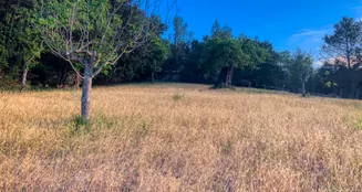 von_poll_real_estate_property_ES212978_image_62