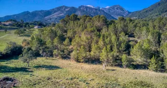 von_poll_real_estate_property_ES212978_image_55