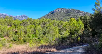 von_poll_real_estate_property_ES212978_image_48