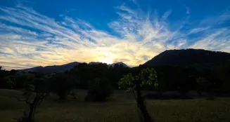 von_poll_real_estate_property_ES212978_image_50