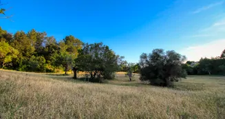 von_poll_real_estate_property_ES212978_image_78