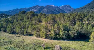 von_poll_real_estate_property_ES212978_image_72