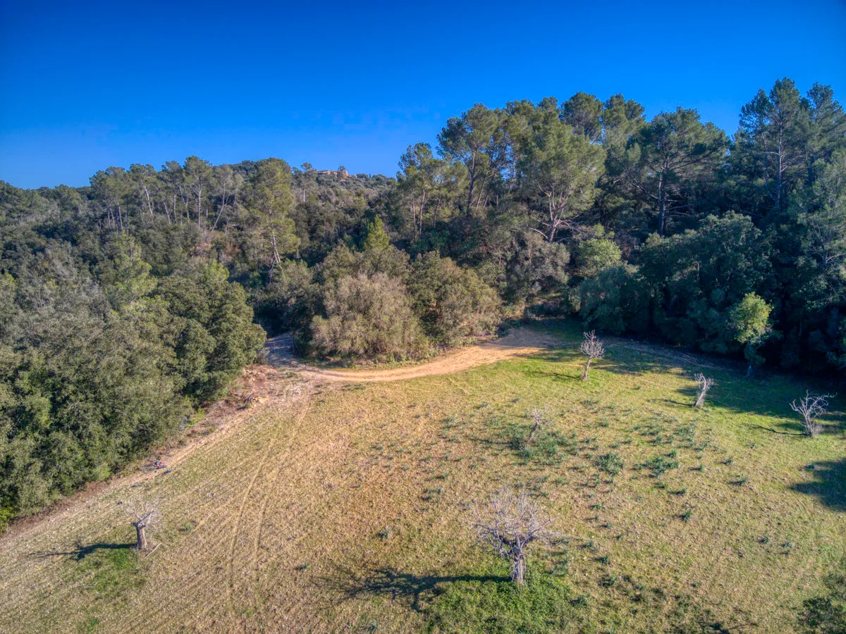 spettacolare-terreno-edificabile-con-due-pozzi-con-la-possibilità-di-una-casa-piscina-e-vigneto-nel-cuore-della-Serra-de-tramuntana-con-lecci-pini-fichi-ullastres-nel-comune-di-selva-vicino-a-campanet-moscari-binibona
