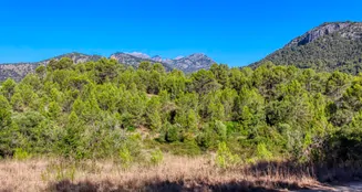 von_poll_real_estate_property_ES212978_image_81