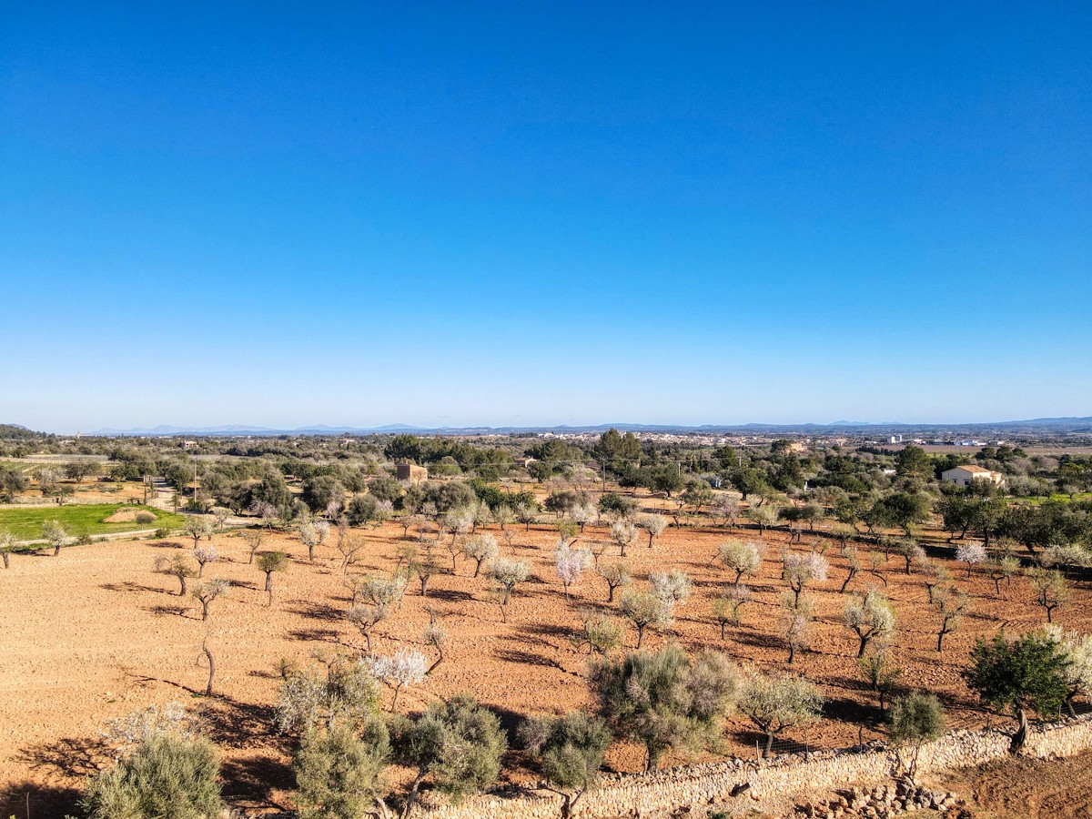 Wunderschöne Finca in Santa María del Camí
