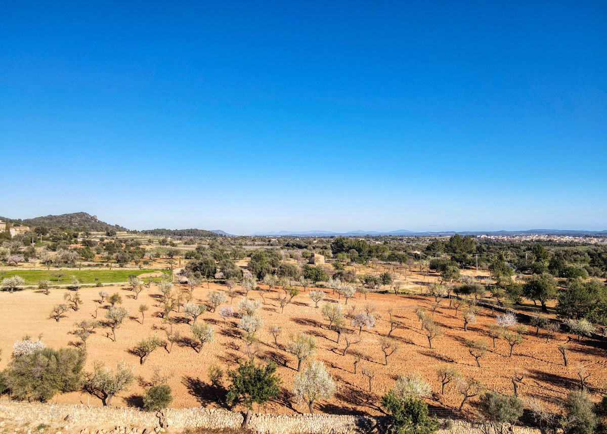 Wunderschöne Finca in Santa María del Camí
