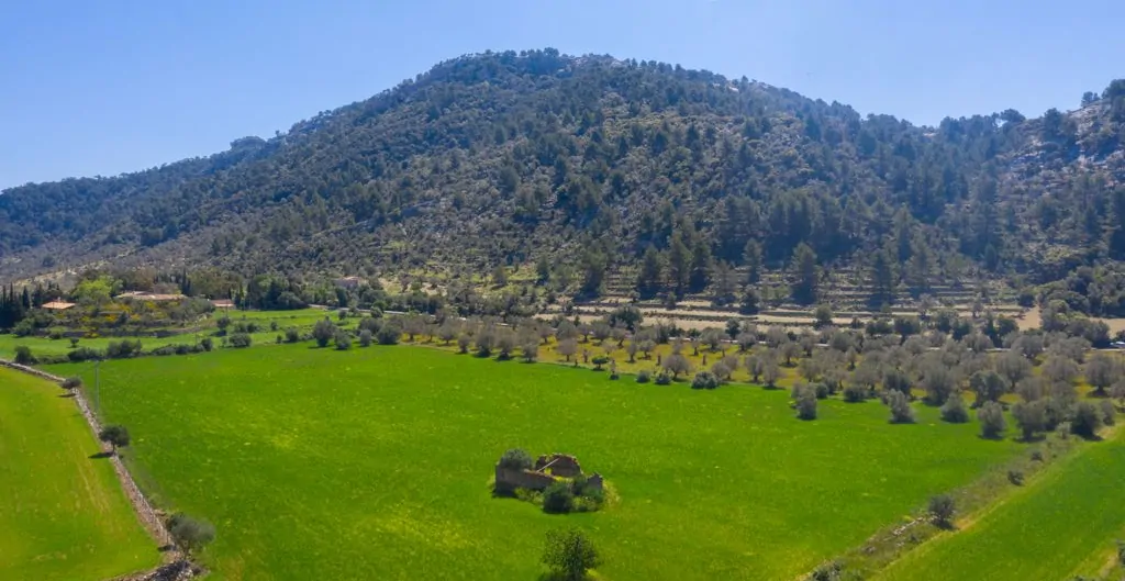 PHOTO-2021-12-14-12-07-30 (1)