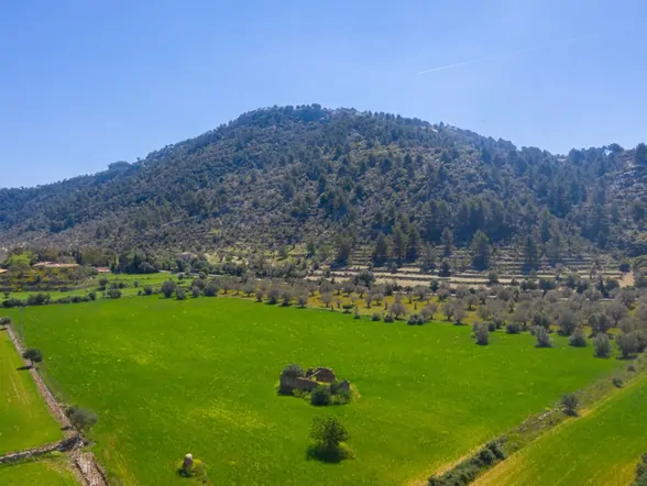 Mediterranean finca with pool in a quiet location near Bunyola – photo 33