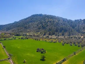Finca in Orient zu verkaufen 