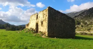 von_poll_real_estate_property_ES213368_image_2