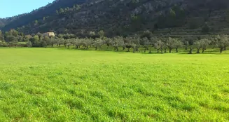 von_poll_real_estate_property_ES213368_image_5