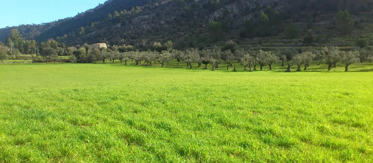 PHOTO-2021-12-14-12-13-05