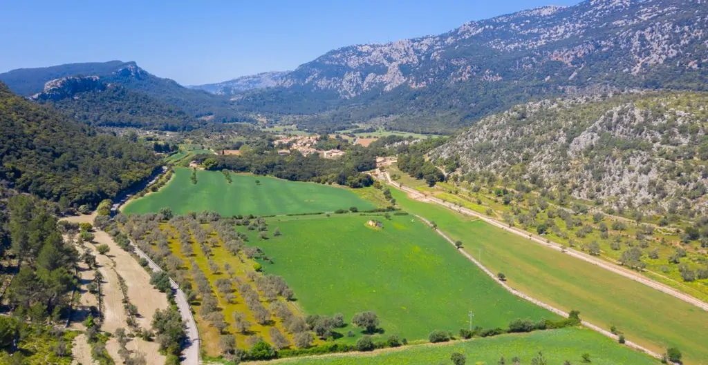 PHOTO-2021-12-14-12-07-31 (1)