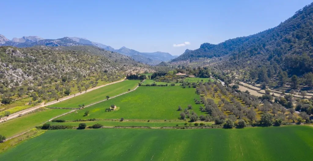 PHOTO-2021-12-14-12-07-31