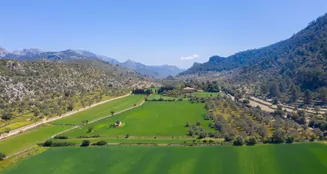 von_poll_real_estate_property_ES213368_image_6