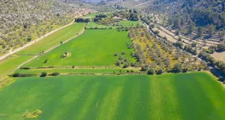 von_poll_real_estate_property_ES213368_image_0