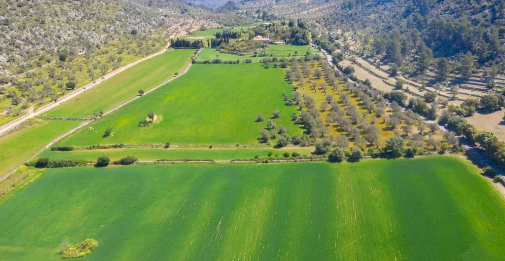 PHOTO-2021-12-14-12-07-30