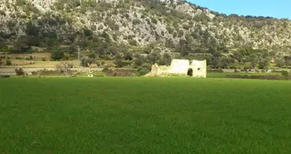 von_poll_real_estate_property_ES213368_image_3