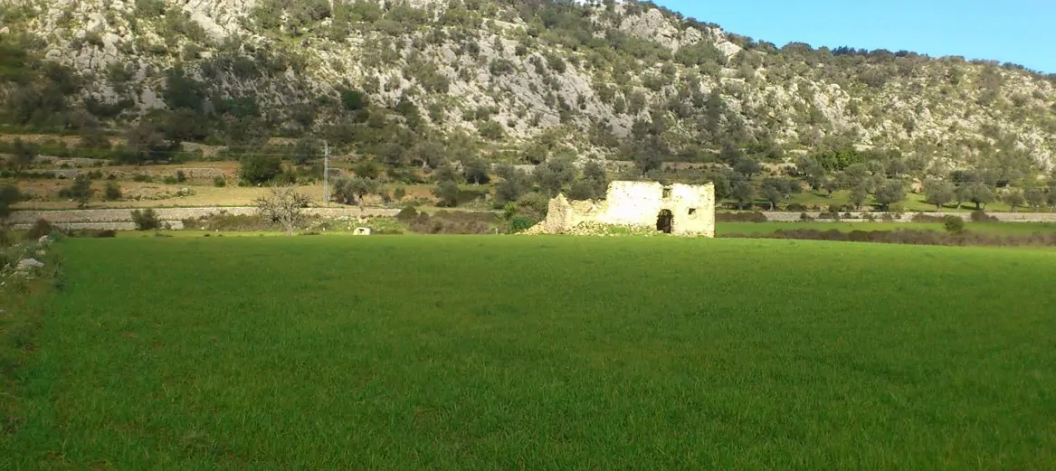 64fbfec9-f22b-4182-ba45-11f77cfed75a