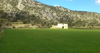 von_poll_real_estate_property_ES213368_image_3