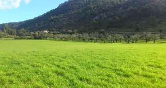 von_poll_real_estate_property_ES213368_image_21