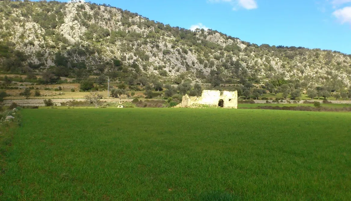 64fbfec9-f22b-4182-ba45-11f77cfed75a