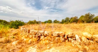 von_poll_real_estate_property_ES223743853_image_20