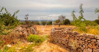 von_poll_real_estate_property_ES223743853_image_21