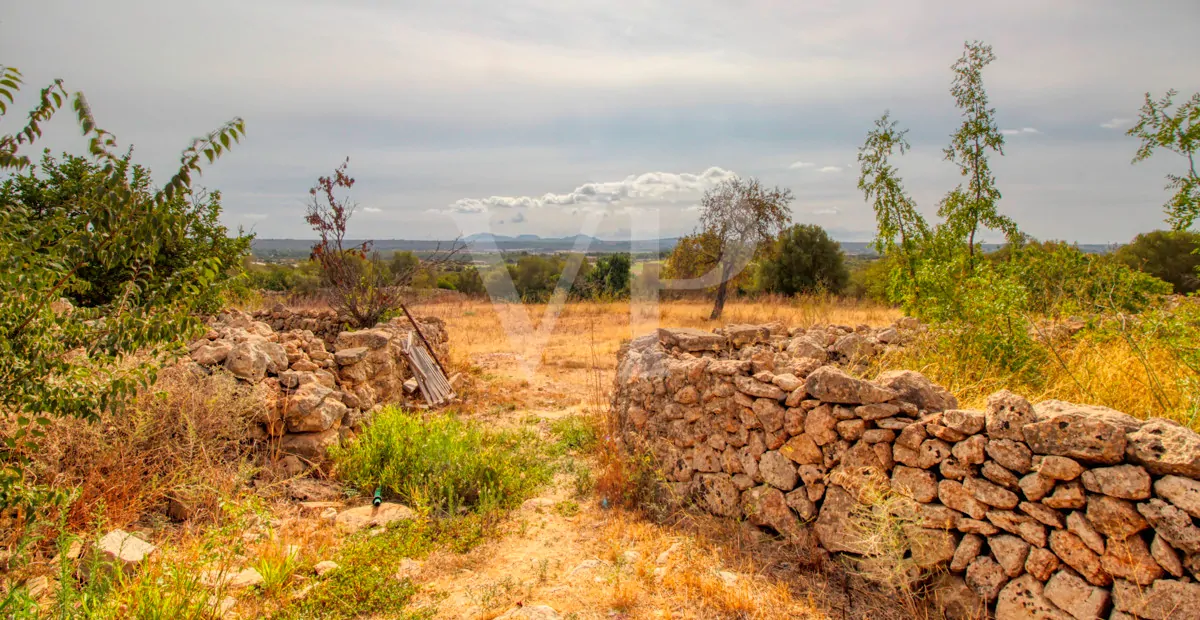 Zu renovierendes Haus aus dem 17. Jahrhundert und großes Baugrundstück im Osten von Palma de Mallorca