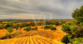 von_poll_real_estate_property_ES223743853_image_12