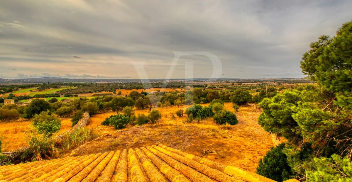 Zu renovierendes Haus aus dem 17. Jahrhundert und großes Baugrundstück im Osten von Palma de Mallorca- copia