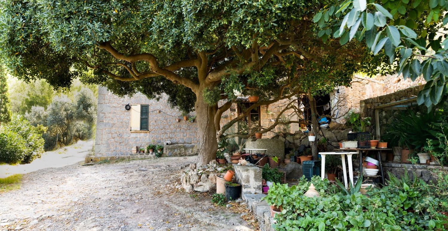 Finca-Deia