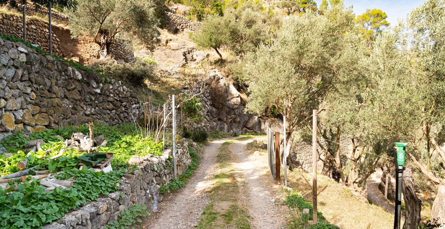 Finca-Deia