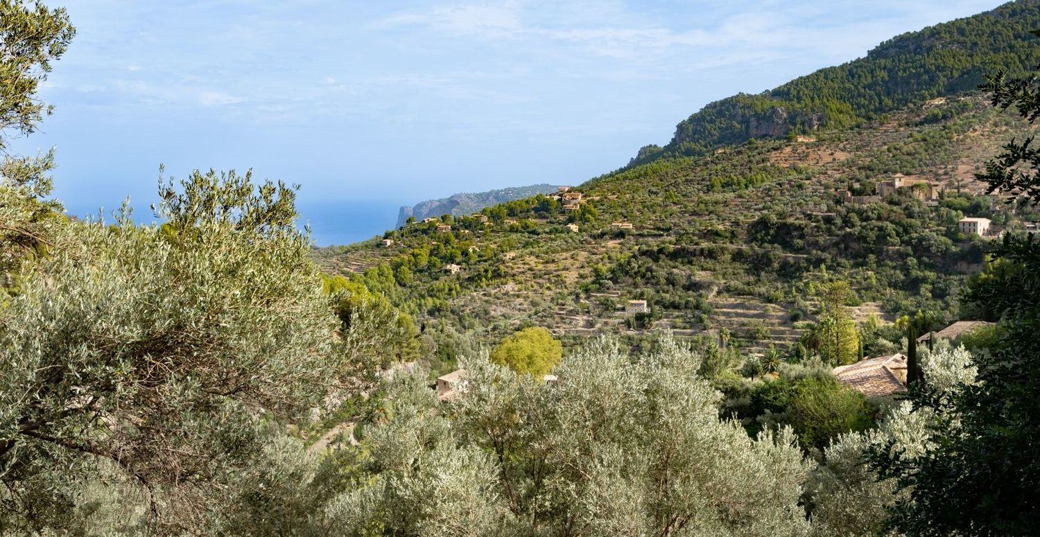 Finca-Deia