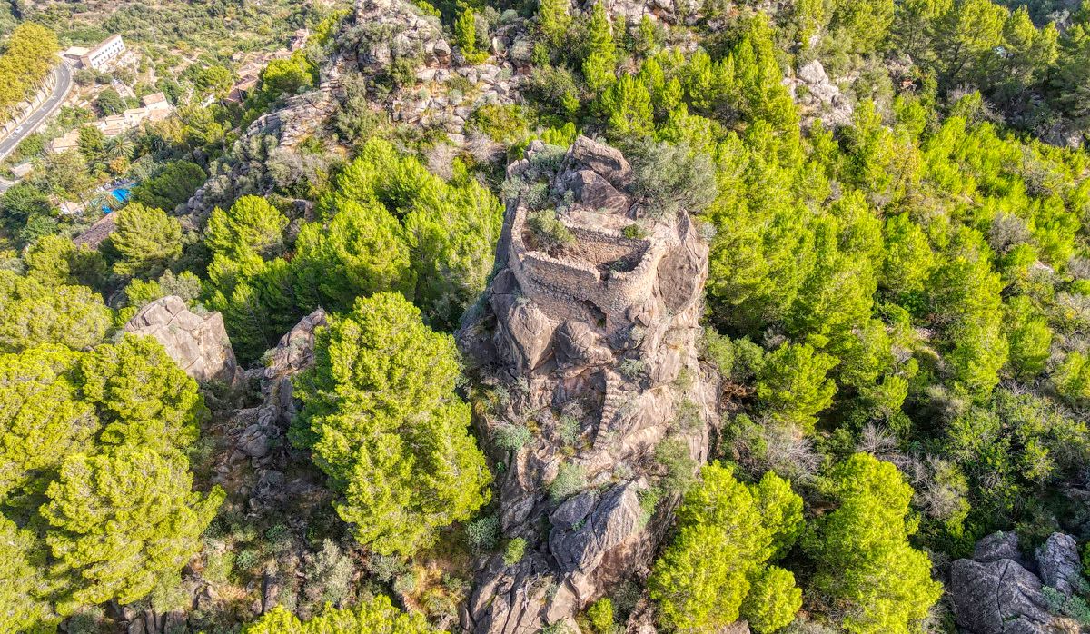 DJI_0081_21