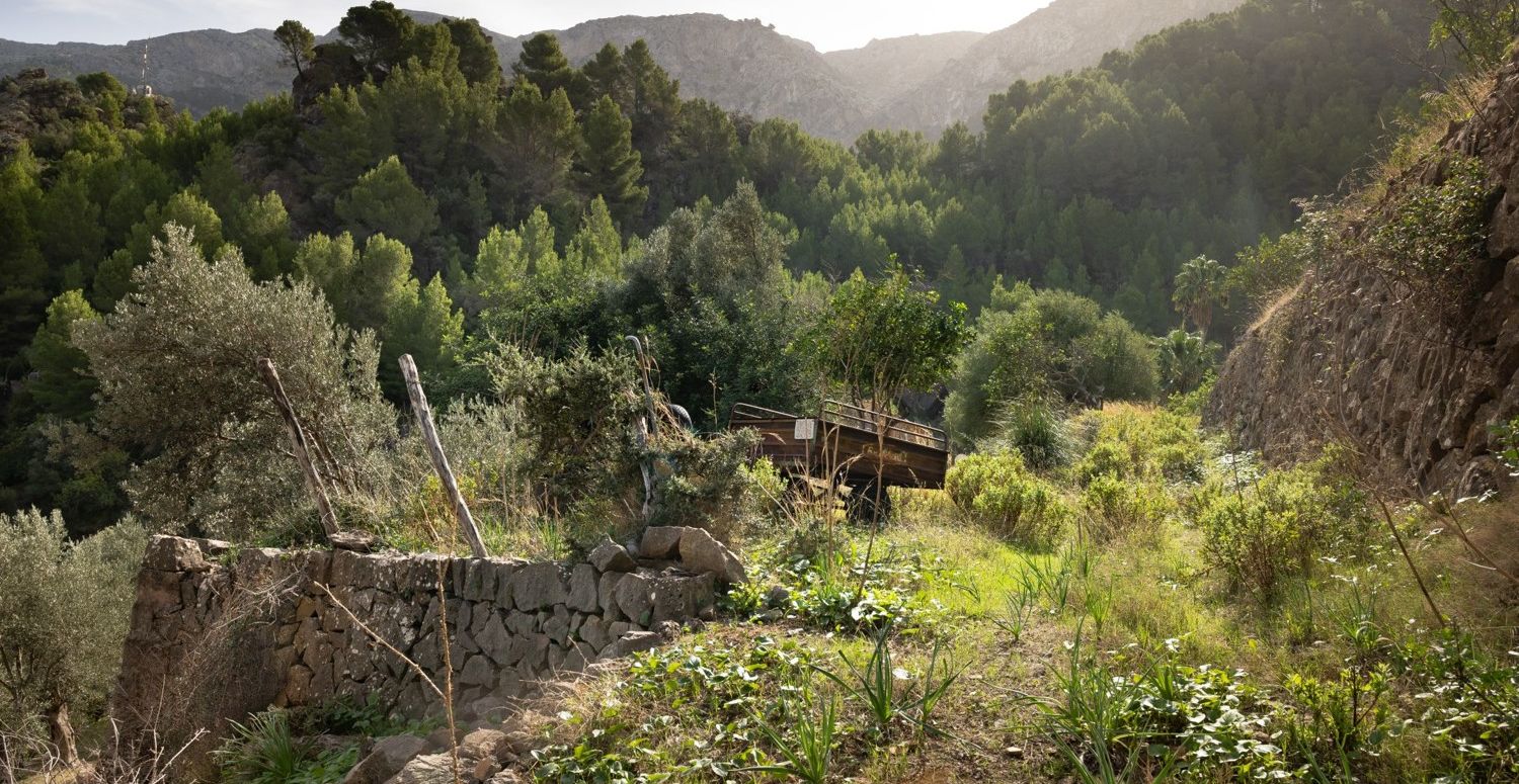 Finca-Deia